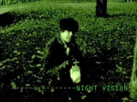 GGTV Guerrilla Gardening by the Kremlin, Moscow