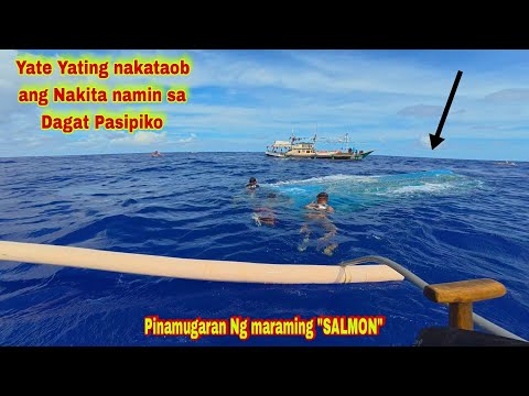 SAMAR adv. P2 | Nakakita kami Ng tumaob na YATE YATE sa Dagat Pasipiko  | Pinamugaran Ng mga SALMON