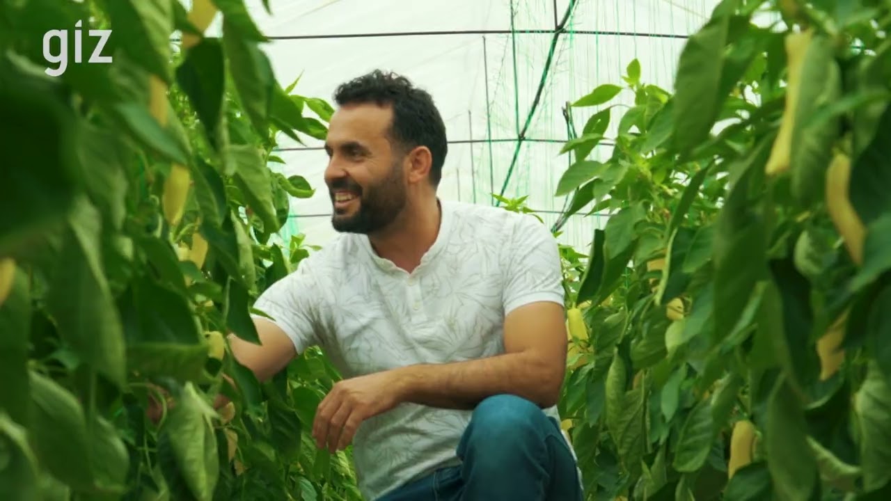 Biological Control Across Greenhouse Production in Hoxhaj, Berat