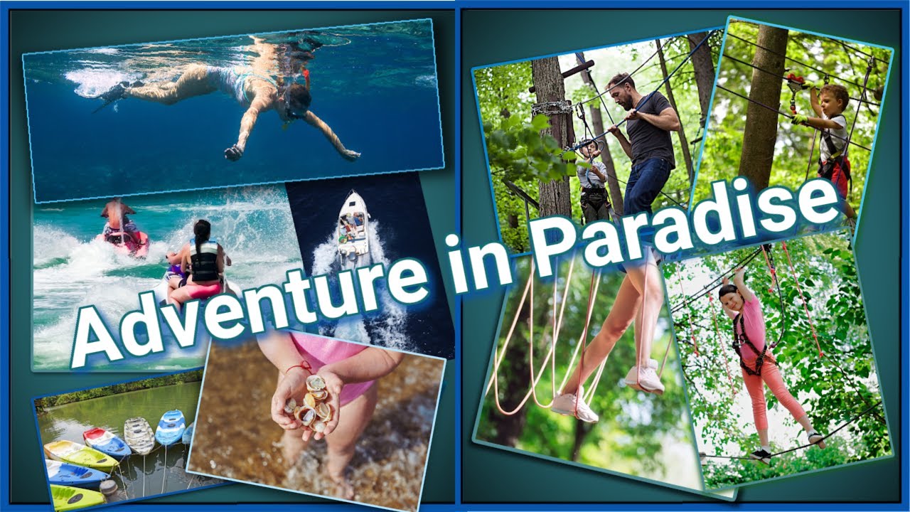 A Summary of Exciting Activities