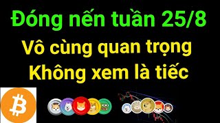 Phân tích bitcoin altcoin hôm nay ngày 25/8 cập nhật thị trường crypto mới nhất hôm nay