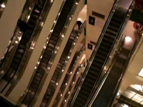 Otis Scenic Elevators at Macy's State Street Downtown Chicago