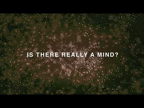 Swans - Paradise Is Mine (Lyric Video) online metal music video by SWANS