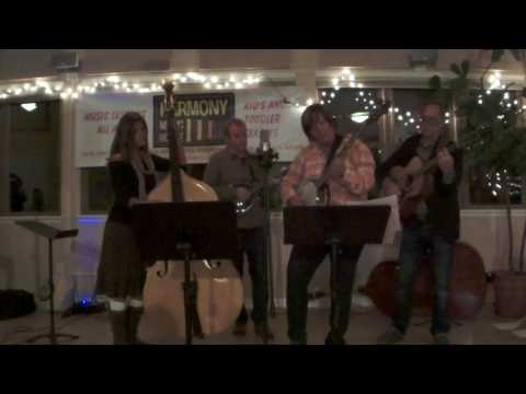 Everybody Wants To Rule The World - Tears for Fears Bluegrass Cover