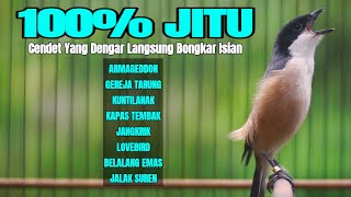 Download lagu BURUNG CENDET GACOR FULL ISIAN MEWAH AMPUH BUAT PANCINGAN CENDET SUSAH BUNYI mp3