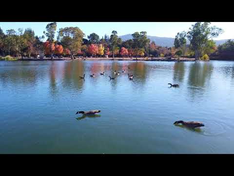 "Colors of Autumn: Vasona Lake County Park, CA" Beautiful Fall Footage by RG