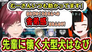 【VCTウォチパ】舎弟感あふれるコメントをしてしまいローレンにツッコまれるはなび【ぶいすぽっ！/切り抜き/蝶屋はなび】