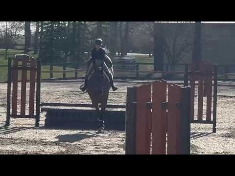 Hendrix with 11 year old schooling