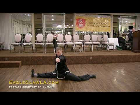 Northern Shaolin Eagle Claw 5 Flower Leopard, Ying Jow Pai