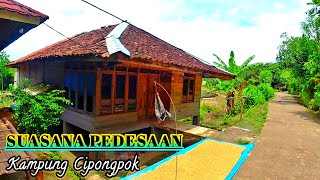 Download lagu Kampung Cipongpok ‼️ Desa bersih Dan Cantik Di Cianjur selatan | suasana pedesaan jawa barat mp3