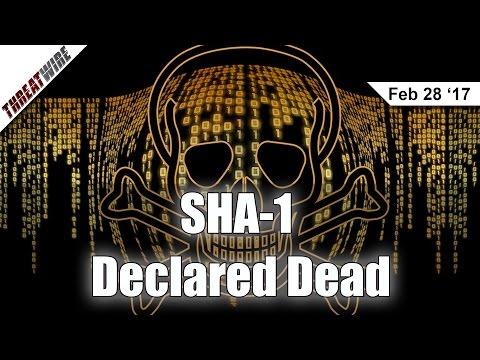 SHA-1 is Officially Dead and What is CloudBleed? - Threat Wire