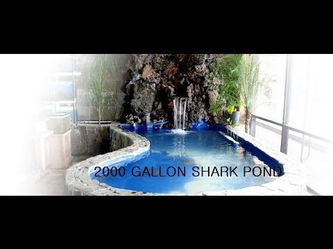 Virtual Tour of Seaside Tropical Fish Huntington Beach CA.