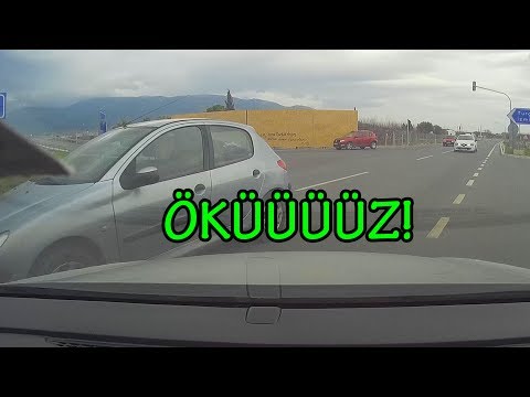 TRAFİK | bu kadar öküzü bir arada görmüş müydünüz?