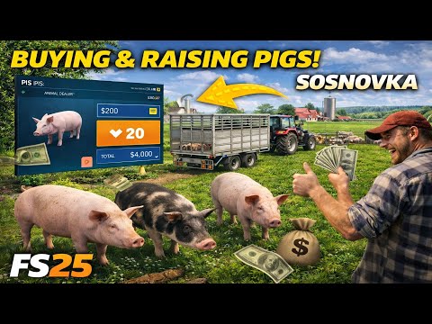🐖 Buying Pigs & Starting Animal Farming | FS25 Sosnovka