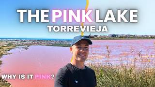 The Pink Lake in Torrevieja in March 2026: Why Is It Pink?