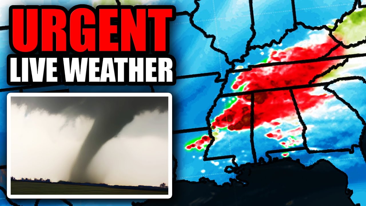 🌩 Miscellaneous Weather Discussions (MWD) Not Thrive Thrive