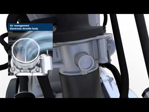 Fa osteocondrosi hondroksid Osteocondrosi cervicale come affrontare forum