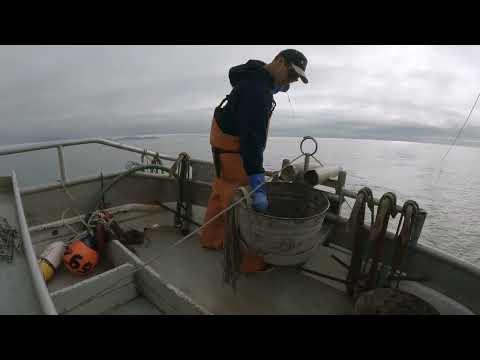 Setting and Hauling - Halibut Longlining | Alaska Commercial Fishing