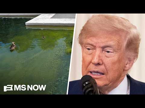 WaPo: Report details Lincoln Memorial reflecting pool's flaws