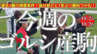 今週のゴールドシップ産駒 (10/25,26)【過去2勝の得意条件！国分恭介と1年ぶり勝利つかむ！／マイネルオーシャン,イトカワサクラ,など】