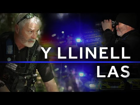 Y Llinell Las - American XL Bully (Unlisted)
