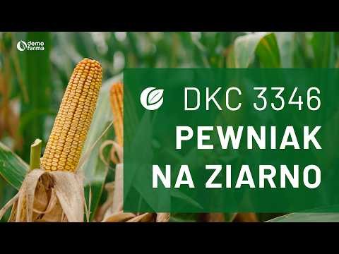 Film na temat: { video.title }}