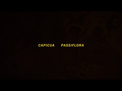 Capicua - "Passiflora" feat Camané