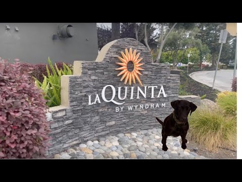 La Quinta Inn Hotel King Room Tour | San Jose, CA