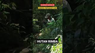 Download lagu Kasihan sekali bapak ini, sudah tersesat di hutan rimba banyak binatang buas pula mp3