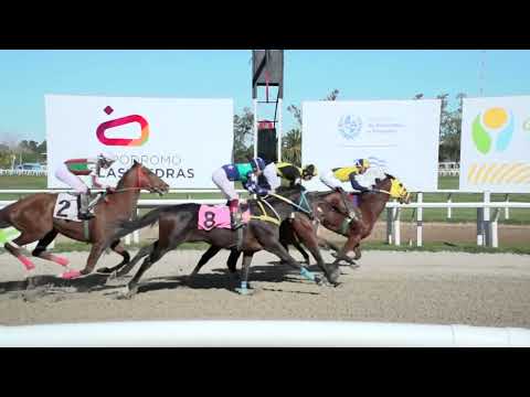 230527 c02 - REBUSILA - HIPODROMO LAS PIEDRAS