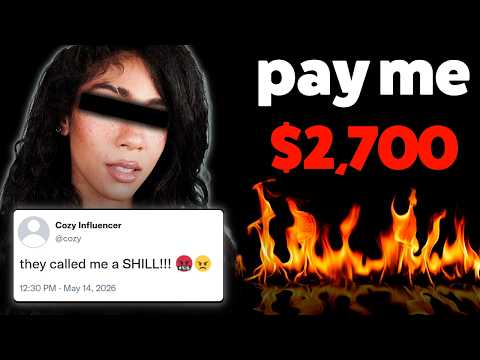 "cozy game" influencers are crashing out...
