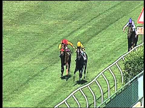 Galoppo 01/06/2015 - 1° corsa