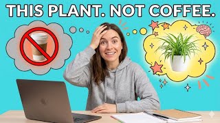 Your Focus Problem Isn't Coffee, It's Missing This Plant