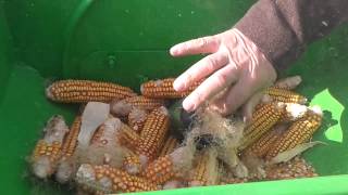 yem kırma makinesı05323939213,sömek li,mısır kırma makinası,yemkırma makinası.