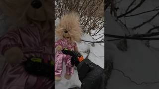 It's Came out of the snow