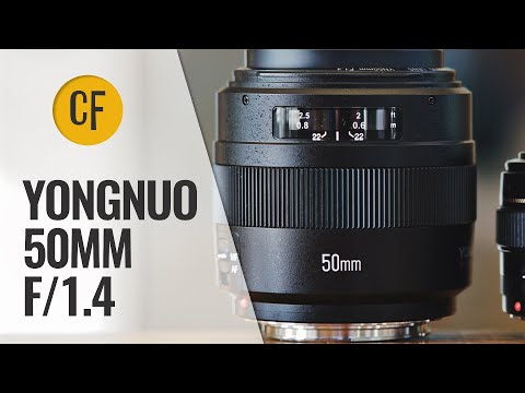 Video thumbnail for Video Review 1