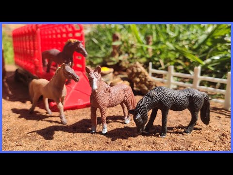 INCRÍVEL ANIMAIS: CHEGOU NOVOS MINI CAVALOS NA FAZENDA