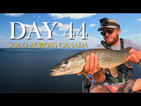 I'm getting eaten alive [30]