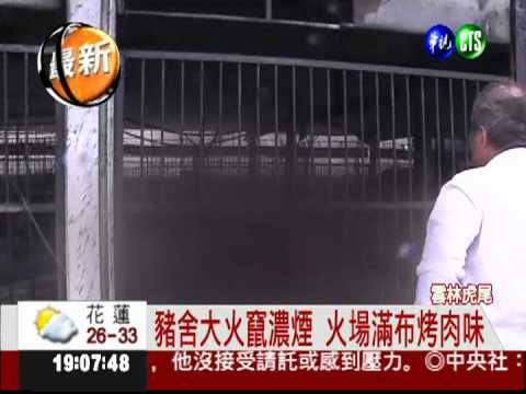 豬舍大火無處逃 百隻豬羊變焦屍
