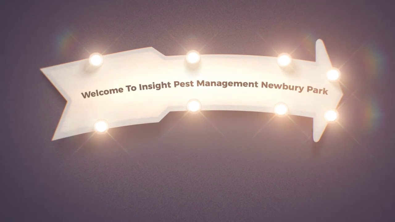 Promotional video thumbnail 1 for Insight Pest Management Newbury Park