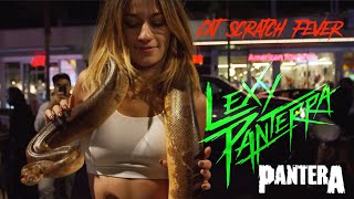 Lexy Panterra / Pantera: Cat Scratch Fever