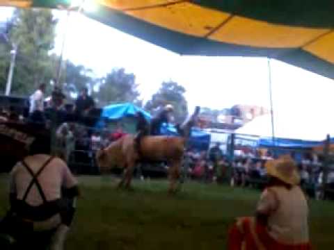 YACO DE METEPEC   EN EL CARMEN 16 D EMAYO