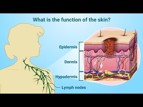 Understanding Melanoma