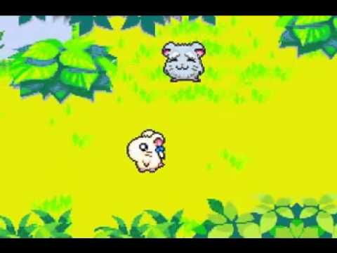 hamtaro rainbow rescue gba download