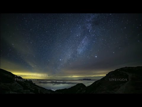 LOGICAL ELEMENTS - Flower nebula