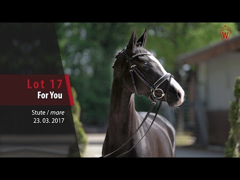 17 For You Stute v. Feuertanz - Rubin Royal