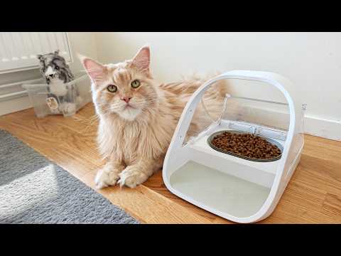 YouTube 썸네일