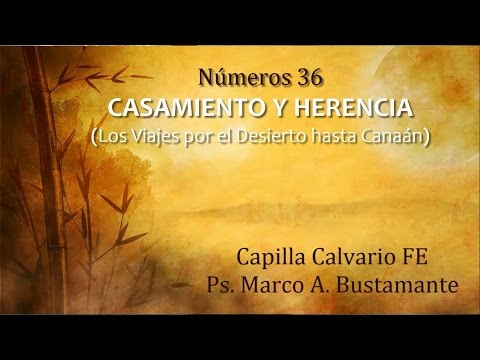 Números 36 - CASAMIENTO Y HERENCIA