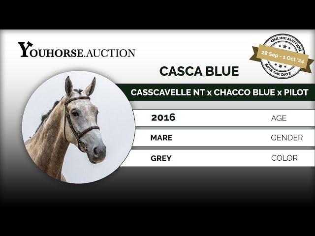 Casca Blue