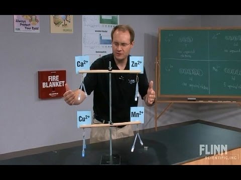 Paramagnetic Transition Metal Ions